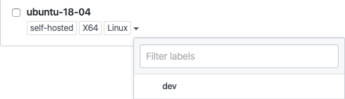 self-hosted runner labels